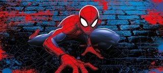 Vliesová fototapeta FTDN H 5399 Spiderman 202 x 90 cm