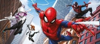 Vliesová fototapeta FTDN H 5501 Spiderman 202 x 90 cm