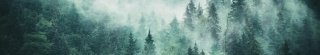 Fototapeta za linku KI350-140 Fog in the Forest 350 x 60 cm