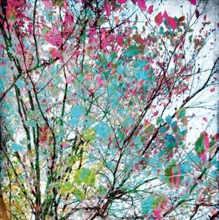 Rasch fototapeta Young Artist 279 x 280 cm 100983