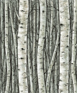 Marburg tapeta na zeď 35380 Timber 0,53 x 10,05 m