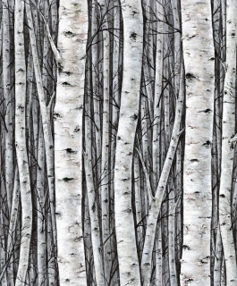 Marburg tapeta na zeď 35397 Timber 0,53 x 10,05 m