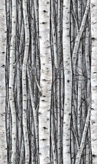 Marburg fototapeta na zeď 35395 Timber 159 x 270 cm