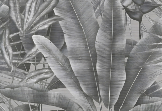 Vliesová fototapeta Šedé tropic listy 360 x 280 cm
